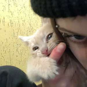 Sen Biraz Tehlikelisin (Speed Up) (Explicit)