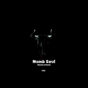 Numb Soul (Explicit)