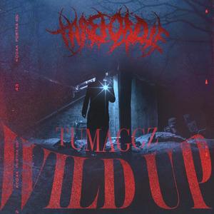 Wild Up (Explicit)