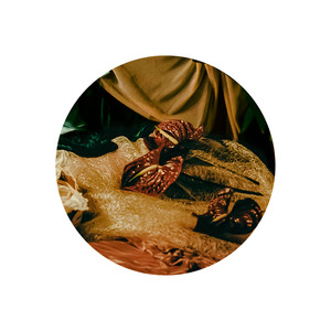 La Yarará (Acoustic)