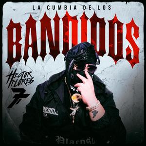 LA CUMBIA DE LOS BANDIDOS (feat. SHERIF & DJ RAIDER)