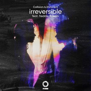 Irreversible (feat. Freddie Flowers)