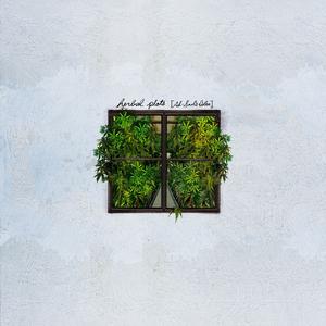 Herbal Plots (Ab-Soul's idea) (feat. Ab-Soul) (Explicit)