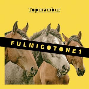 Fulmicotone 1