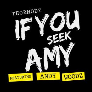 If You Seek Amy