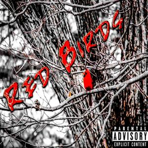 Red Birds (Explicit)