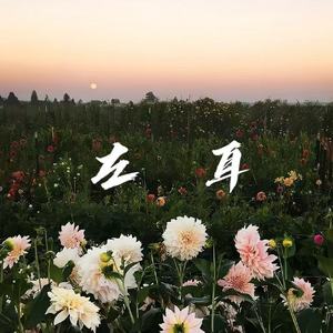 左耳（听不清的耳语最诚恳）