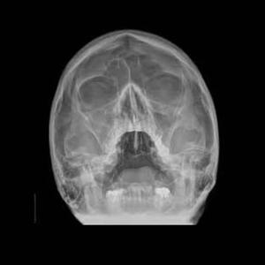 DUST TO DUST (feat. Ang) (Explicit)