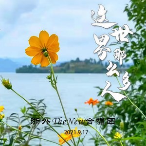 这世界那么多人TheNew