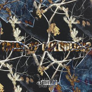 TALES OF GOLDIILOCC (AK Bandamont Remix|Explicit)