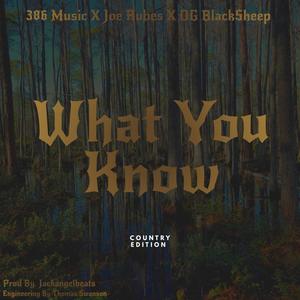 What You Know (feat. O.G. BlackSheep & Twisted Wrench) [Explicit]