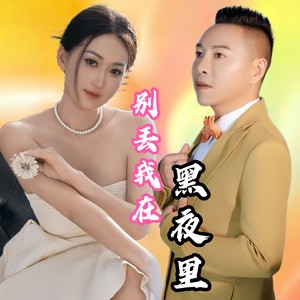 别丢我在黑夜里