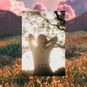 Fighting to Find Peace