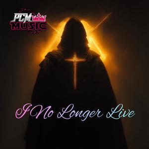 I No Longer Live (feat. Rob Ruff)