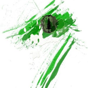 Anabios (Original Mix)