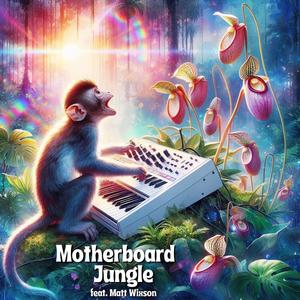 Motherboard Jungle