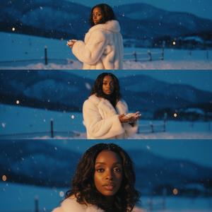 Fake Bitches (Explicit)