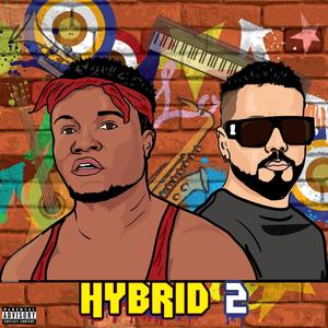 HYBRID 2 (Explicit)