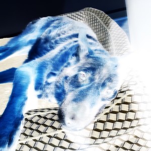 zaza(feat. goonie & kankan) (Remix|Explicit)