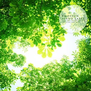 향기로운 햇살처럼(Nature Ver.)