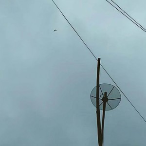 雪山飞狐 - 一点点