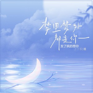 梦里梦外都是你 (发了疯的想你)