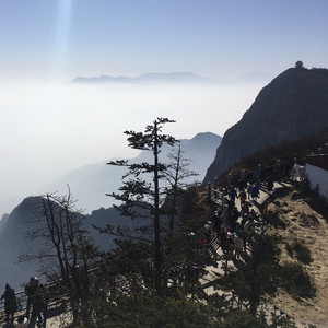 武隆