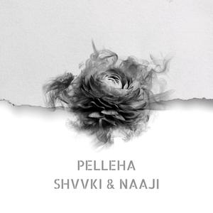 Pelleha (feat. Shvvki & Naaji)