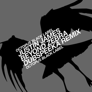 Beyond Zebra (dubspeeka Remix)