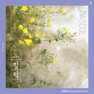 느낌적 (感觉上)