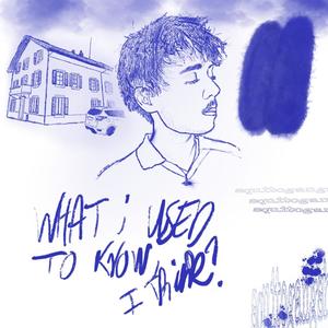 What I Used To Know, I Think? (Explicit)