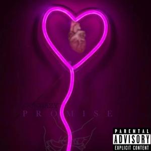 PROMISE (Explicit)