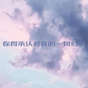 你得承认对我的一切幻想