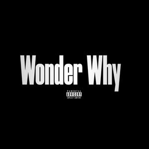 Wonder Why (Explicit)