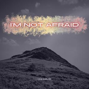 I Would Try To Understand