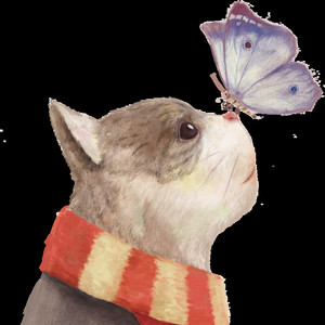 Leo/나비와고양이（蝴蝶与猫）feat 笠晨