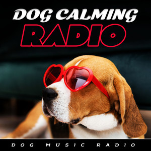 Dog Calming Radio