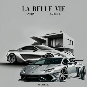 La Belle Vie (feat. Xabrijel) [Explicit]