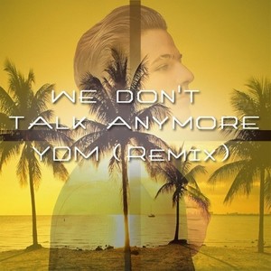 we don't talk anymore(YDM Bootleg)