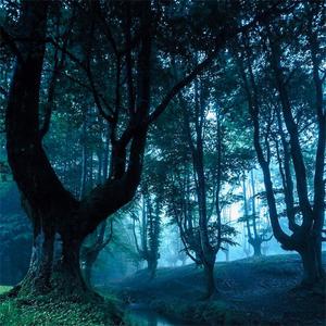 honestly i cant blame you