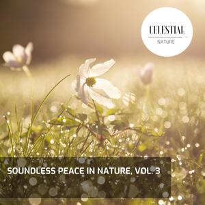 Soundless Peace in Nature, Vol. 3