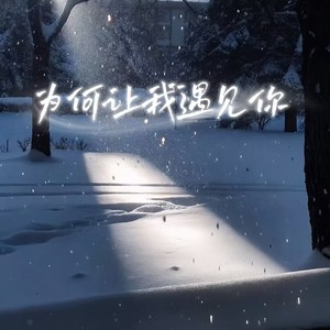 为何让我遇见你 (男声版)