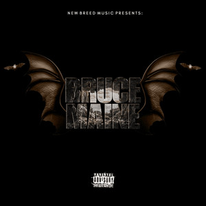 Ready n Reckless (Explicit)