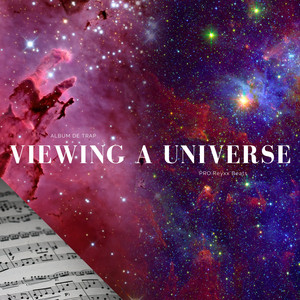 Viewing a Universe