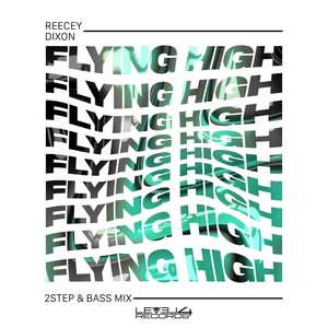 Flying High (Bass Mix)