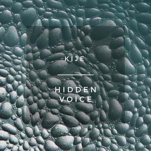 Hidden Voice