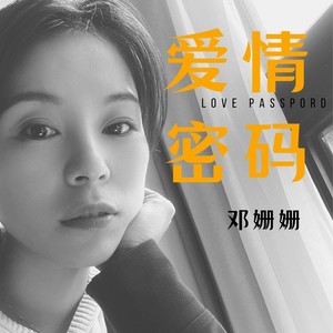 爱情密码 (伴奏)