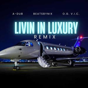 Livin In Luxury (feat. O.G. V.I.C.) [Remix] [Explicit]