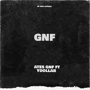 Ates Gnf