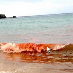 BLOOD ON THE BEACH (feat. apt88) (Explicit)